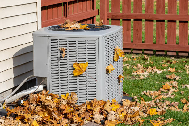 Best HVAC Air Duct Cleaning  in Ripley, MS