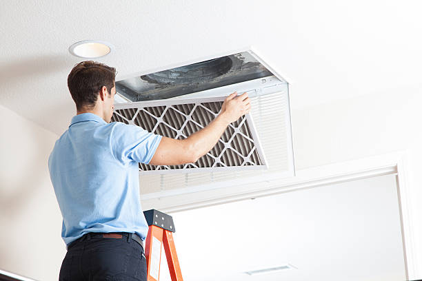 Best Affordable HVAC Services  in Ripley, MS